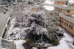Nevicata storica del 31 Dicembre 2014 a Cerignola