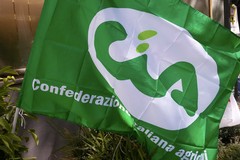 Cia Puglia, costi di produzione alle stelle per gli agricoltori pugliesi