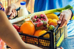 Carta Dedicata a Te: informazioni utili ai cittadini di Cerignola