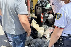 Trasgressori della raccolta differenziata a Cerignola: ecco come vengono individuati