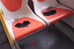 Danneggiate le navette messe a disposizione dal Comune di Cerignola ai tifosi ospiti