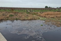 Discarica a cielo aperto su SP66, il Comune di Trinitapoli precisa: “E’ nel territorio di Cerignola”
