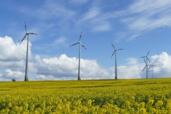 Impianto eolico in agro di Cerignola, i proprietari dei terreni scrivono a Michele Emiliano