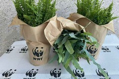 Pro Loco Cerignola scende in campo con WWF con l’iniziativa “La Natura si fa Cura”