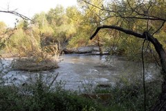 Cerignola, ottenuto finanziamento di 500mila euro per la bonifica del fiume Ofanto