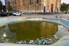 Lo sfogo dell’Assessore all’Ambiente Sforza: “A Cerignola lo sdegno per l’inciviltà non ha limiti”