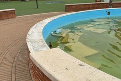 Vandali in azione al Parco “Baden Powell” di Cerignola