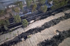 Assessore Sforza su incendio della discarica Forcone Cafiero: “Sono in corso accertamenti approfonditi”