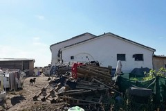 Cerignola, la tendopoli arriva su Rete 4. Bonito: «Sarà il problema del mio successore»