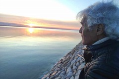 Giuseppe Merlicco presenta il romanzo “Il sogno nel bosco” a Cerignola