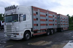 Cerignola, assaltano un tir ma era carico solo di polli