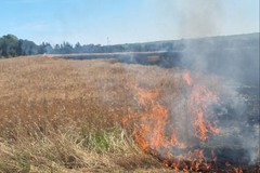 Incendio di sterpaglie sulla S.S. Manfredonia, paura a pochi chilometri da Cerignola