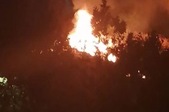 Incendio all’ex pastificio Tamma a Cerignola