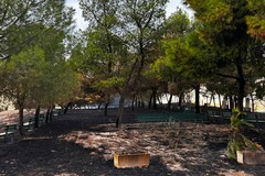 Ancora un atto vandalico al Santuario Madonna di Ripalta a Cerignola: incendiata la pineta