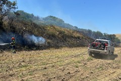 Incendio boschivo a Borgo Moschella, frazione di Cerignola: interviene la Protezione Civile