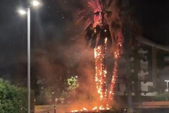 Incendio al Parco 2 giugno di Cerignola. Sforza: «Chi accende il fuoco è un criminale»