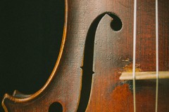 Musica e radici, venerdì a Cerignola le canzoni della vecchia Napoli
