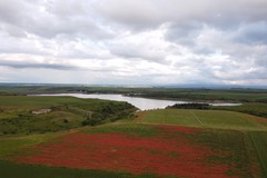 Club per l’Unesco OdV Cerignola promuove l’iniziativa: Lago Capacciotti, patrimonio di biodiversità