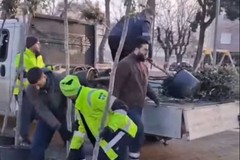 Al via la piantumazione di 12 nuovi alberi a Parco Albanese a Cerignola