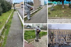 Proseguono i lavori di manutenzione del verde pubblico a Cerignola