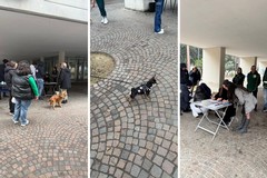 Grande successo per il Microchip day a Cerignola, un’iniziativa importante per la tutela degli animali