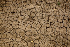 Siccità, anche Cerignola nell'allarme di Coldiretti Puglia: in Capitanata picchi di 38° e -67 milioni di mc d'acqua