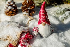 “Gli Elfi di Babbo Natale”, spettacolo in Piazza della Repubblica a Cerignola