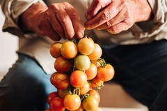 N’zerta, l’arte di conservare i pomodori appesi tipica della Puglia