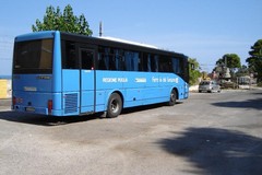 Camion contro bus delle FerGargano sulla Mattinata-Vieste: otto feriti