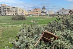 Vincenzo Sforza, assessore all’Ambiente di Cerignola: “La domanda non è solo chi è stato, ma cosa facciamo noi?”