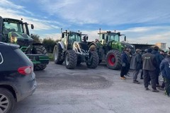Protesta agricoltori in Capitanata: corteo con mezzi agricoli lungo la SS16