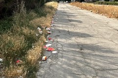 L’intollerabile abbandono di rifiuti a Cerignola: un focus sui contenitori di fast food