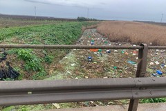 Discarica a cielo aperto in un torrente nel territorio di Cerignola: l’ennesimo disastro ecologico?