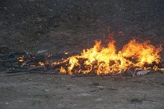 Con l’estate a Cerignola ricominciano i roghi tossici notturni