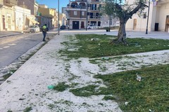 Verde pubblico a Cerignola: sfalcio e potatura in varie zone della città