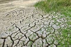 Allerta siccità in provincia di Foggia: gli agricoltori di Cerignola chiedono interventi