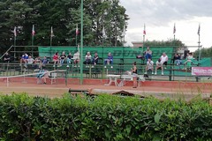 Terminato il 2° Torneo Nazionale di Tennis FMI Shop allo Sporting Club di Cerignola