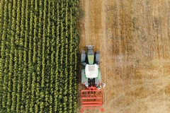Servizio Civile Agricolo, 26 posti per la rete di Cerignola: il bando scade il 15 ottobre