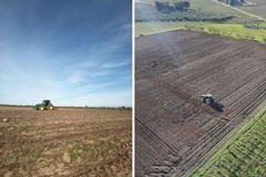 Al via il nuovo progetto su Terra Aut: una vigna per produrre uva da vino