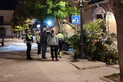 Vento forte a Cerignola, rami divelti: interventi per la messa in sicurezza
