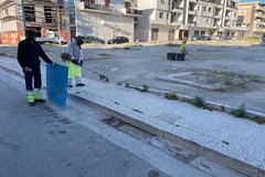 Verde pubblico a Cerignola: manutenzione in varie zone della città