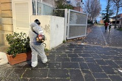 Manutenzione verde pubblico: proseguono gli interventi per le vie di Cerignola