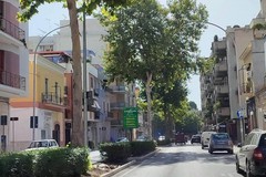 Gli alberi di Viale Fratelli Rosselli a Cerignola “salvati” dall’estirpazione