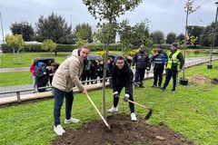 Giornata Nazionale dell’Albero a Cerignola, l’Assessore Sforza: “Presto a Cerignola nuovi parchi urbani”