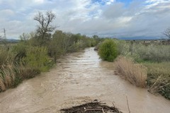 Fiume Ofanto in piena: esondazioni diffuse, sommersi i terreni circostanti