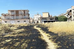 Cerignola, incendio al Piano delle Fosse: le fiamme attraversano l'intera area