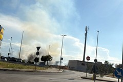 Incendio nei pressi di viale Fra Daniele a Cerignola: fiamme e fumo nella zona