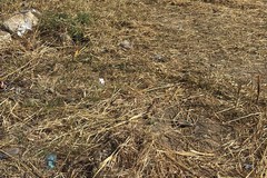 Zona Molini Amoruso a Cerignola ripulita dalle sterpaglie, i residenti: “Grazie per aver accolto la nostra richiesta”