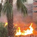 Incendio in via Maddaloni, la denuncia dei titolari: «Situazione insostenibile»