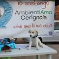 Gazebo AmbientiAmo (Raccogliamola)